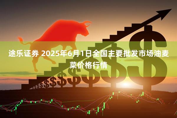 途乐证券 2025年6月1日全国主要批发市场油麦菜价格行情