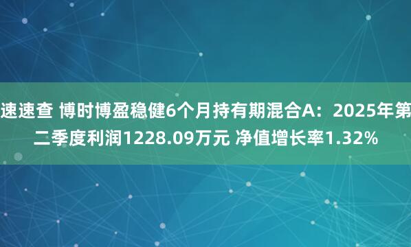 速速查 博时博盈稳健6个月持有期混合A：2025年第二季度利润1228.09万元 净值增长率1.32%