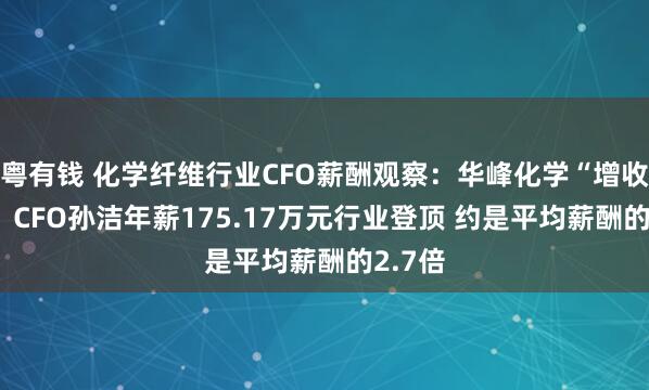粤有钱 化学纤维行业CFO薪酬观察：华峰化学“增收减利” CFO孙洁年薪175.17万元行业登顶 约是平均薪酬的2.7倍