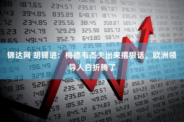 锦达网 胡锡进：梅德韦杰夫出来撂狠话，欧洲领导人白折腾了